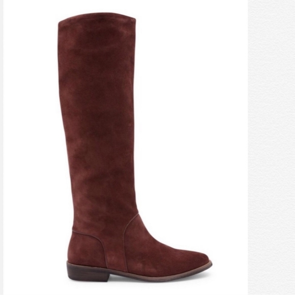 Ugg Daley Tall Boot - Chestnut Brown - Picture 4 of 6